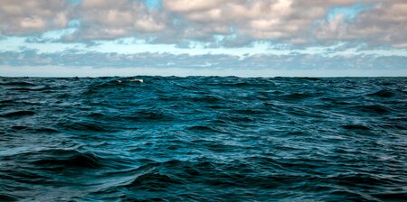 Shipbuilding: Commercial Court considers Refund Guarantees, Conditions and Innominate Terms