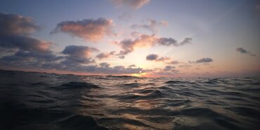 The Maltese Falcon: Commercial Court reaffirms that where a contract expressly allocates risk, implied terms will not remedy the outcome