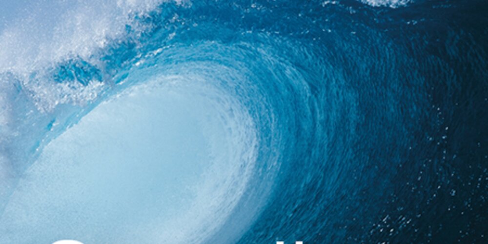 March, 2022 - Hard to fix: a reminder of the importance of lifting subjects