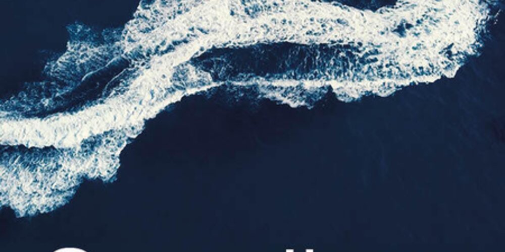 December, 2021 - THE BIG FISH: Singapore arrest proceedings - duty of full and frank disclosure