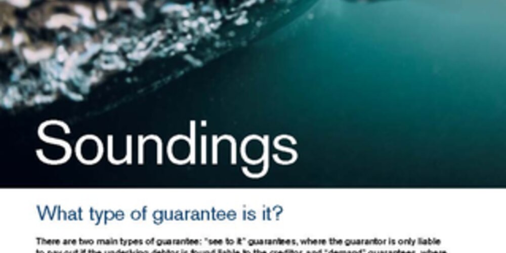 June, 2020 - What type of guarantee is it?