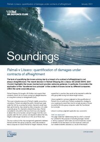 January, 2021 - Palmali v Litasco: quantification of damages under contracts of affreightment