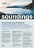 Issue 3, 2011 - Korean Bankruptcy Procedures